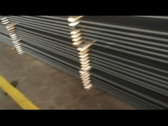 API 11B グレードD 油田吸い込み棒 2フィート 3フィート 4フィート 5フィート 6フィート ポニーストッド