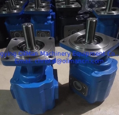 CBGJ車輪の積込み機のための油圧ギヤ油ポンプのステンレス鋼