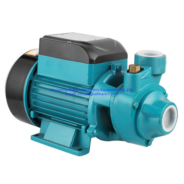 100% 銅線 0.5hp 高圧モーター QB60 電動渦巻き水ポンプ